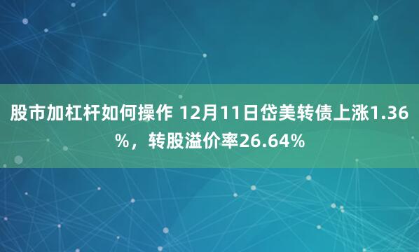 股市加杠杆如何操作 12月11日岱美转债上涨1.36%，转股溢价率26.64%