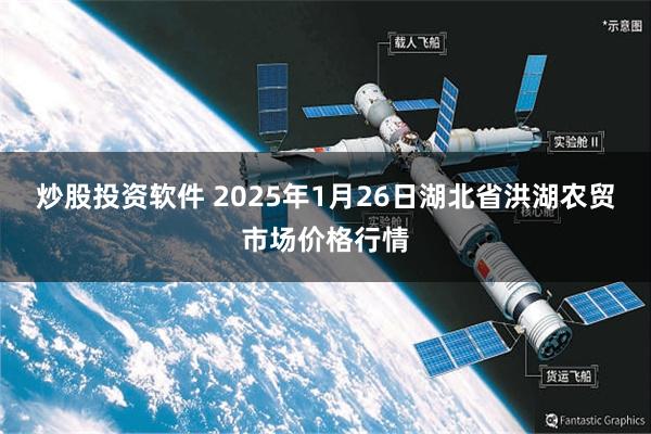 炒股投资软件 2025年1月26日湖北省洪湖农贸市场价格行情