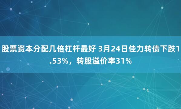 股票资本分配几倍杠杆最好 3月24日佳力转债下跌1.53%，转股溢价率31%
