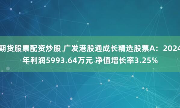期货股票配资炒股 广发港股通成长精选股票A：2024年利润5993.64万元 净值增长率3.25%