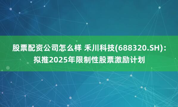 股票配资公司怎么样 禾川科技(688320.SH)：拟推2025年限制性股票激励计划