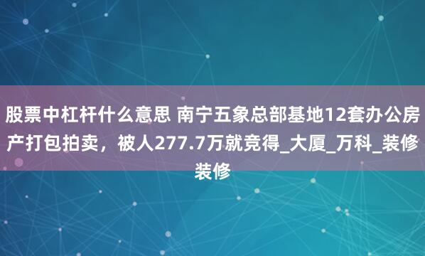 股票中杠杆什么意思 南宁五象总部基地12套办公房产打包拍卖，被人277.7万就竞得_大厦_万科_装修