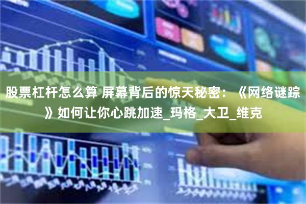 股票杠杆怎么算 屏幕背后的惊天秘密：《网络谜踪》如何让你心跳加速_玛格_大卫_维克