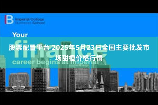 股票配置平台 2025年5月23日全国主要批发市场甜橙价格行情