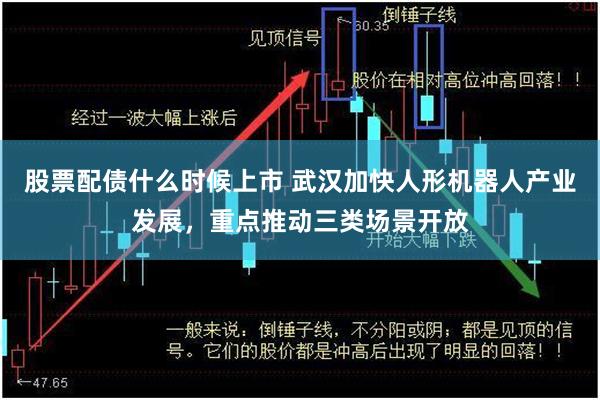 股票配债什么时候上市 武汉加快人形机器人产业发展，重点推动三类场景开放