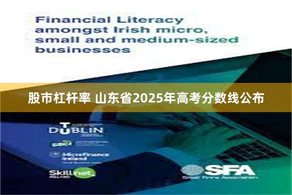 股市杠杆率 山东省2025年高考分数线公布